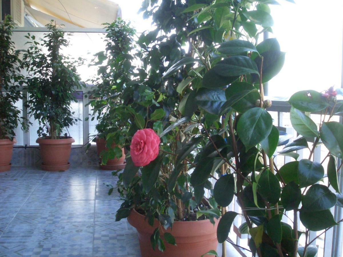 Athens Penthouse Cosy Apartment エクステリア 写真