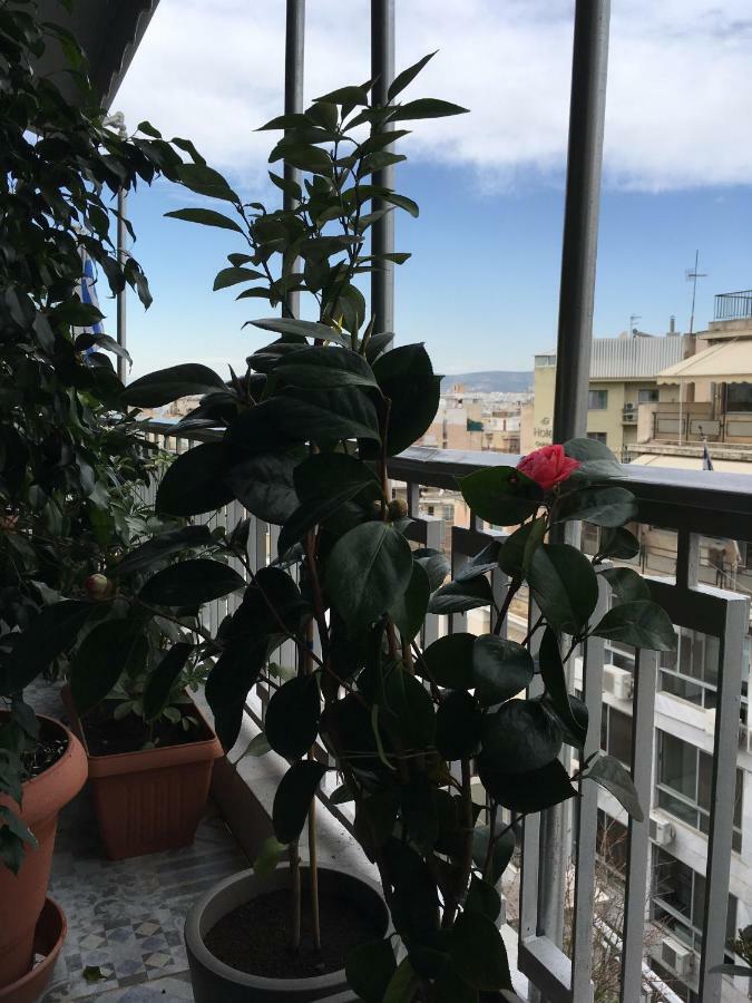 Athens Penthouse Cosy Apartment エクステリア 写真